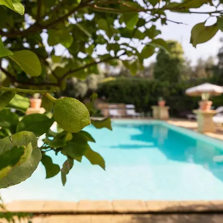 Tenuta Donna Vittoria - Piccola * Trapani
